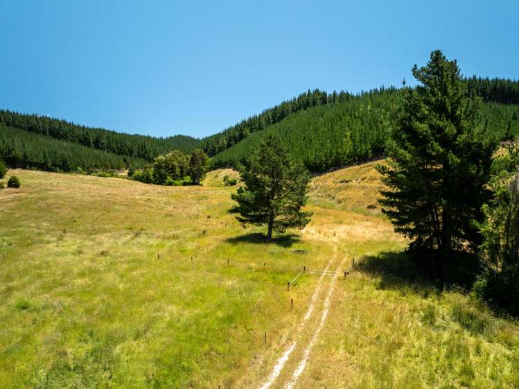 240 Teapot Valley Road Brightwater_32