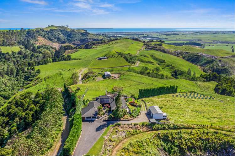 502e Reid Road Papamoa_2