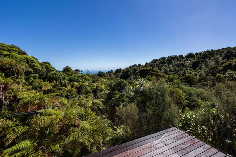 296 Piha Road Piha_62