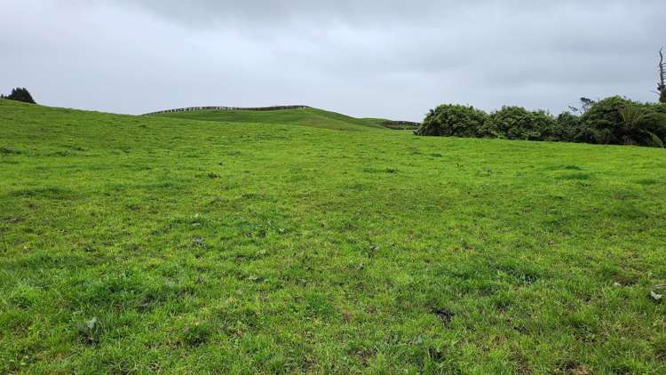 953 Upland Road Egmont Village_21