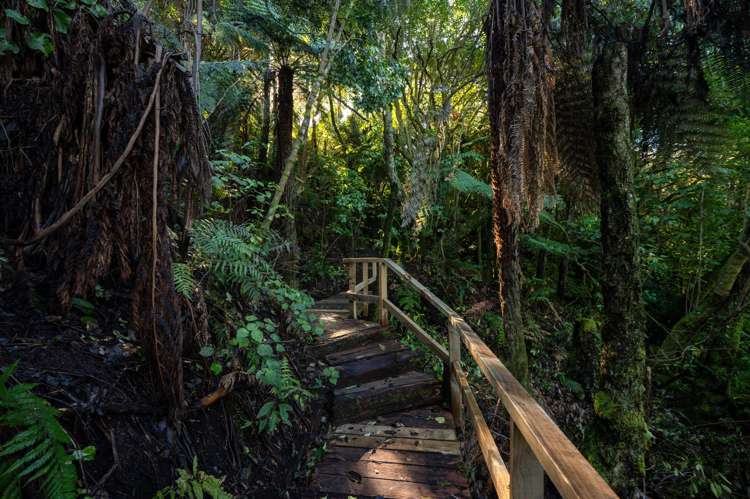 18 & 20 Te Toroa Drive Lake Tarawera_13