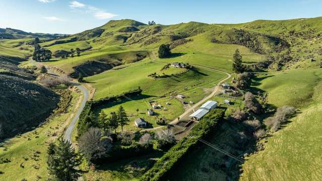 324 Reeces Road Omihi_1