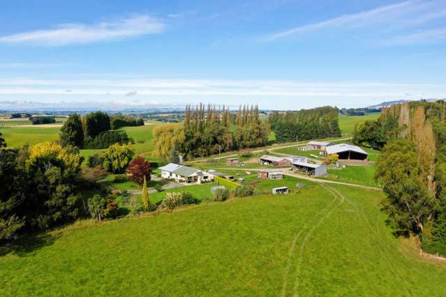 104 Bushy Park Road Waikaka_4