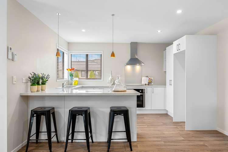 117 Infinity Drive Pegasus_5