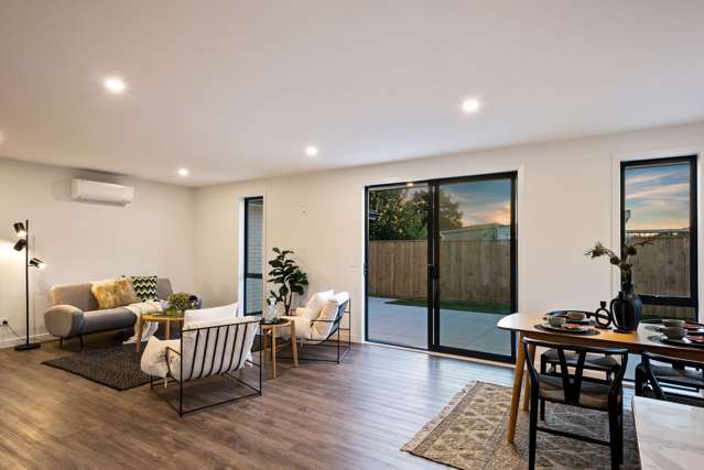 17a Gardener Street Levin_2