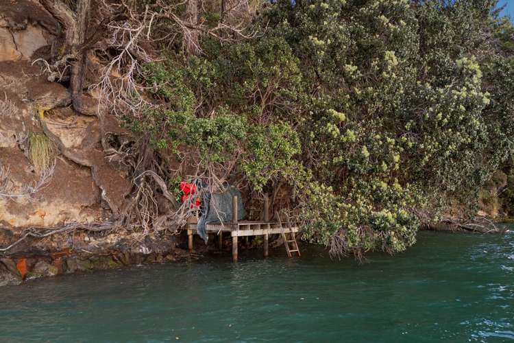 20 Oruamo Place Beach Haven_29