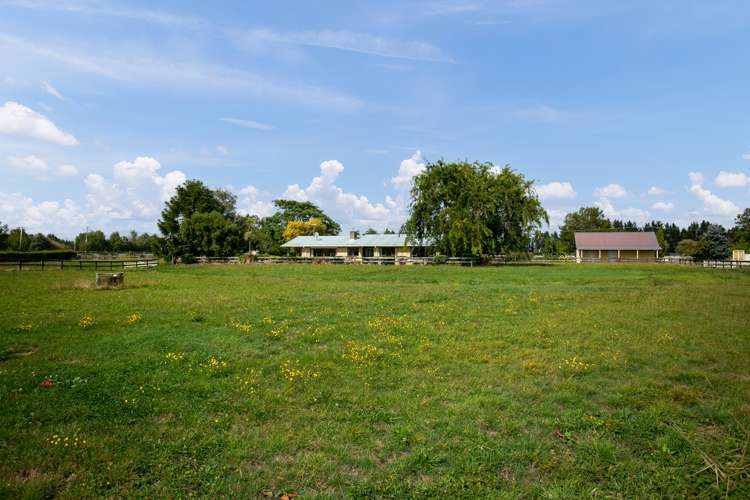 25 French Pass Road Cambridge_15