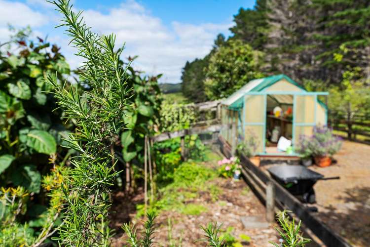 161 Clements Road Matapouri_28