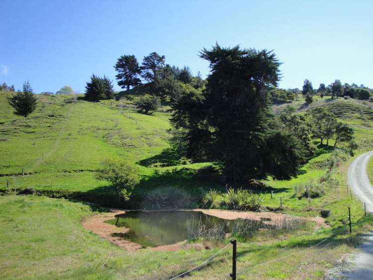 81 Wheatstone Road Wainui_7