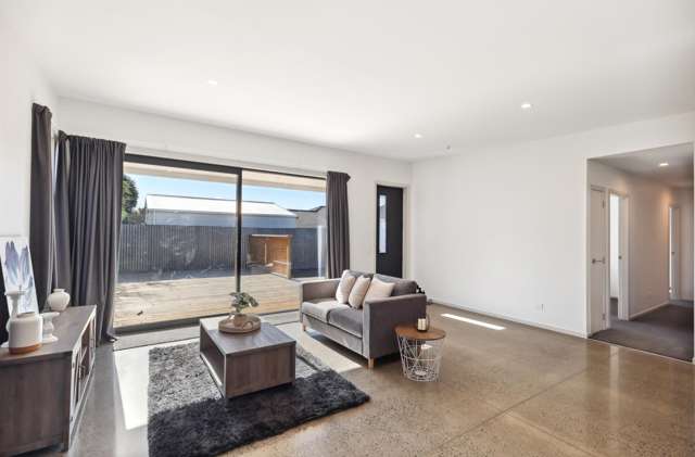 45A Winchester Street Levin_2