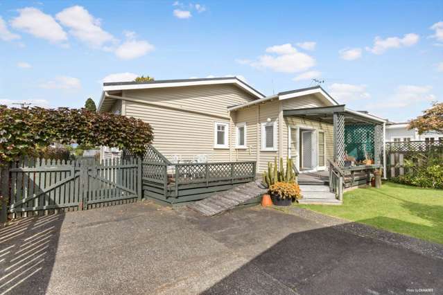 261 Meola Road Point Chevalier_1