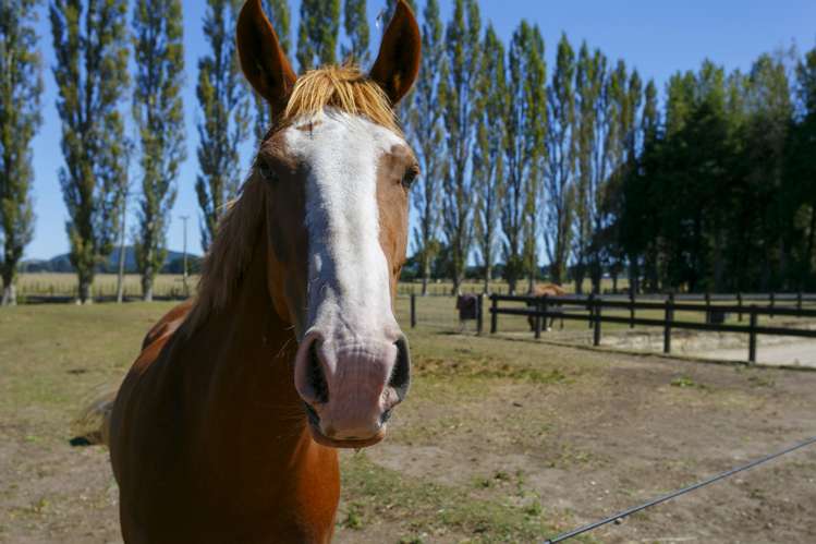 175 Tiverton Downs Road Broadlands_19