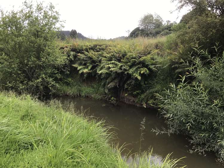 2801 State Highway 4 Aria_10