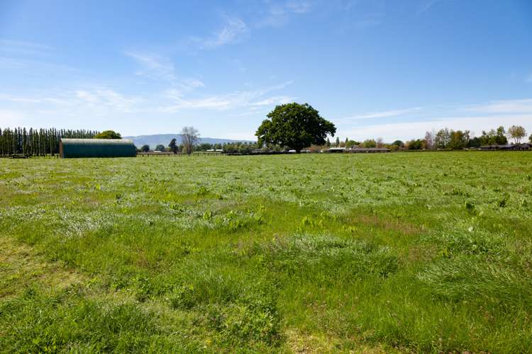 7096 State Highway 27 Matamata_18