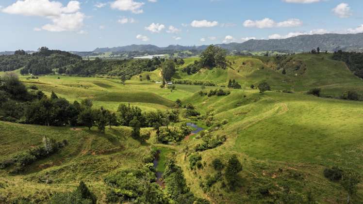 636 Otara Road Opotiki_7