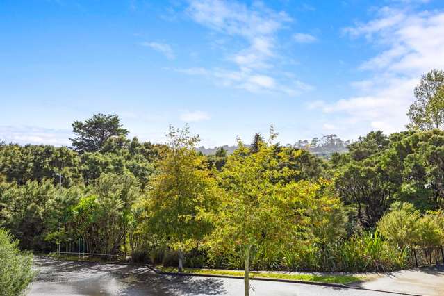 17 Korihi Drive Swanson_1