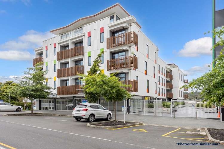 502/22 Library Lane Albany_11