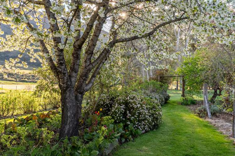 1341 Omarama-Lindis Pass Road Omarama_5