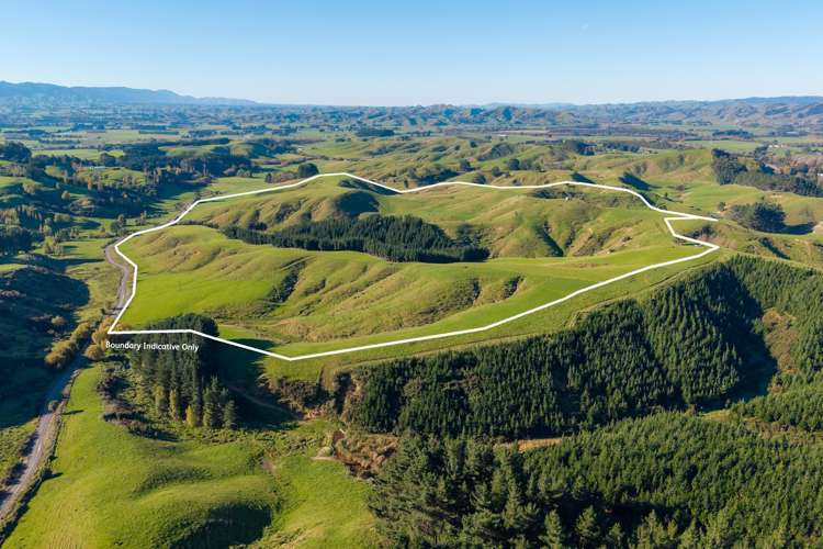 Ridge Road North Pahiatua_16