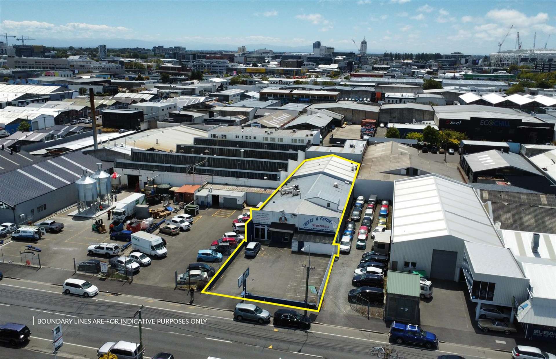 119 Wordsworth Street Sydenham_0