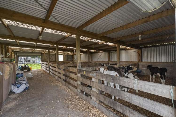 253 Cross Road Te Popo_20