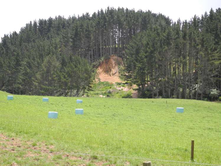 3198 State Highway 23 Raglan_14