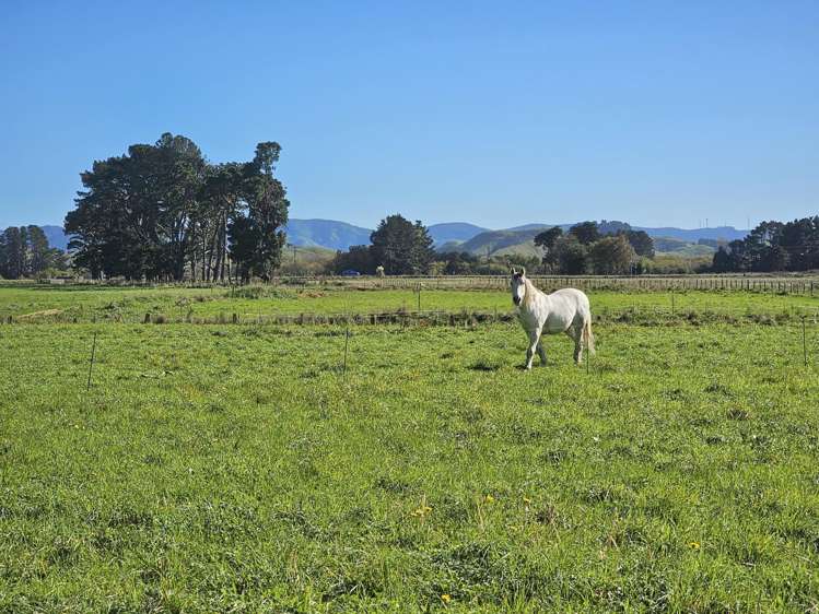 82921 State Highway 2 Pahiatua_7