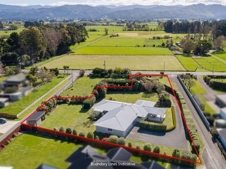 101 Lincoln Road Carterton_29
