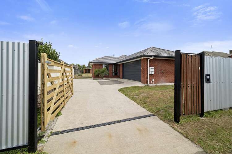 7 Puriri Crescent Hillcrest_9