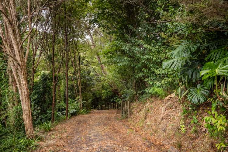 Waimangaro Road Opua_9