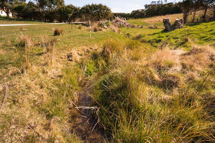 43 George Street Riverton_3