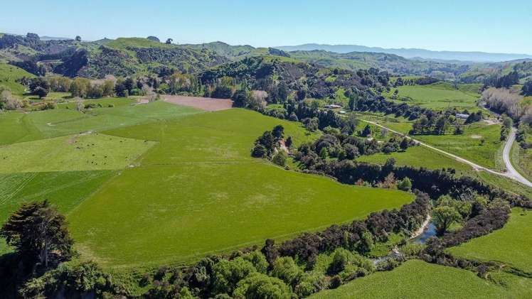 918 Pahiatua Pongaroa Road Pahiatua_3