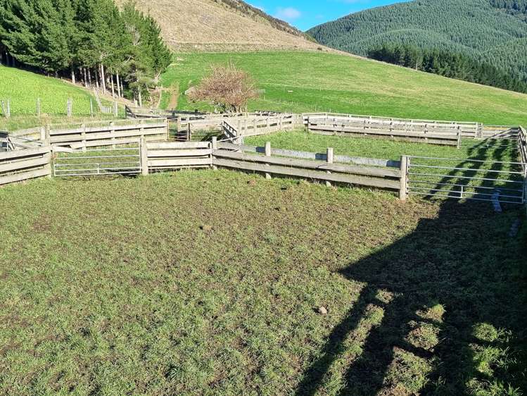 Waiwera Gorge Road Clinton and Surrounds_9