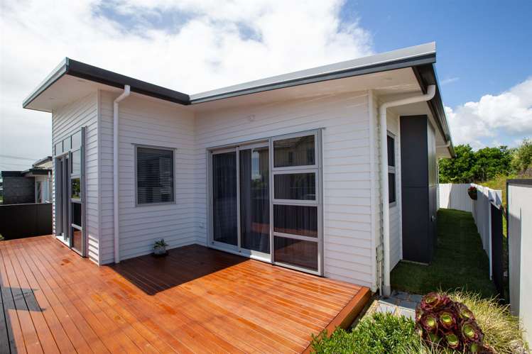 49 Young Street New Plymouth Central_17