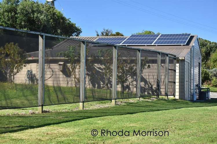 208 Heatley Road Whakapirau_43