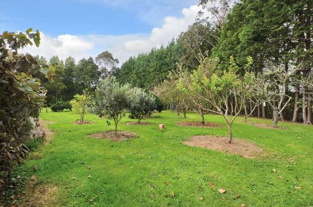 197 Harris Road Glenbervie_3