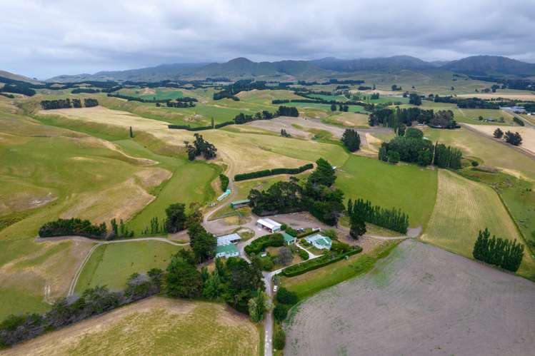 6 Clermont Street Ward_0