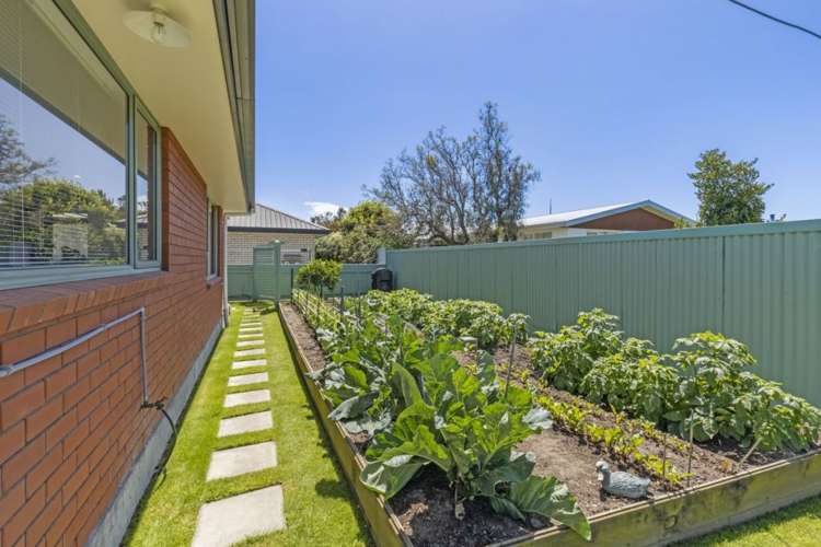 5 Bary Street Springlands_2