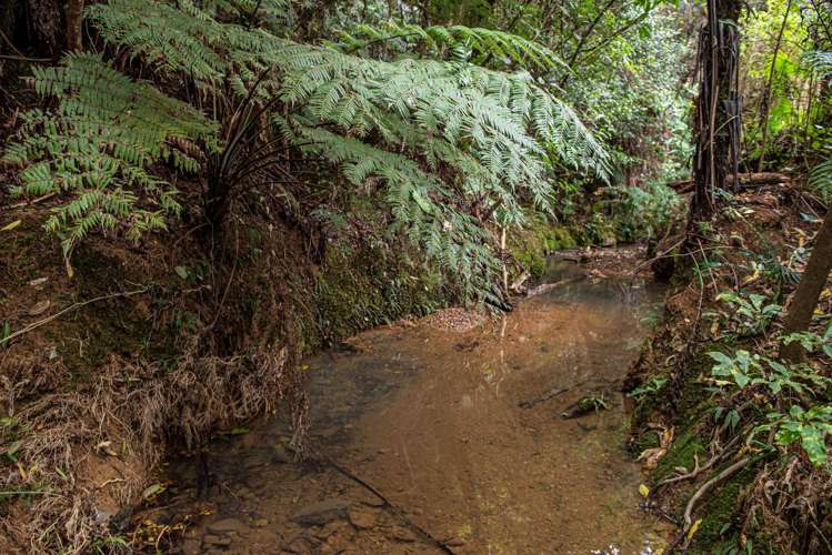 1242 Russell Road Helena Bay_28