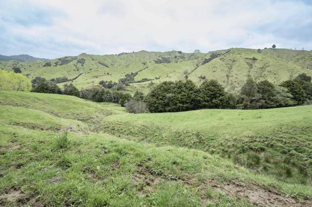 1339 Hikumutu Road Taumarunui (part of)