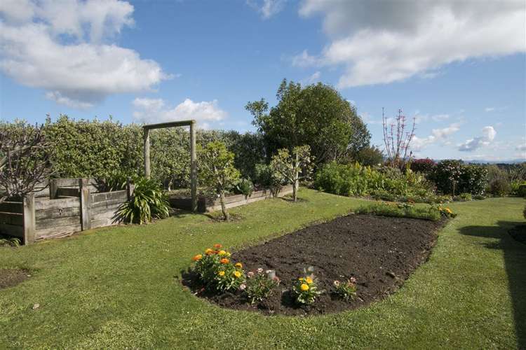 199e Youngson Road Whakamarama_11