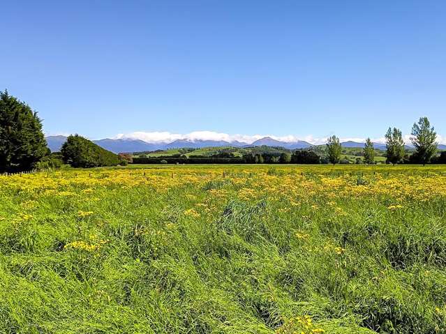 91 Budd Road Masterton_4