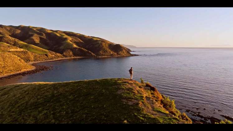 Pikarere Farm Porirua_9