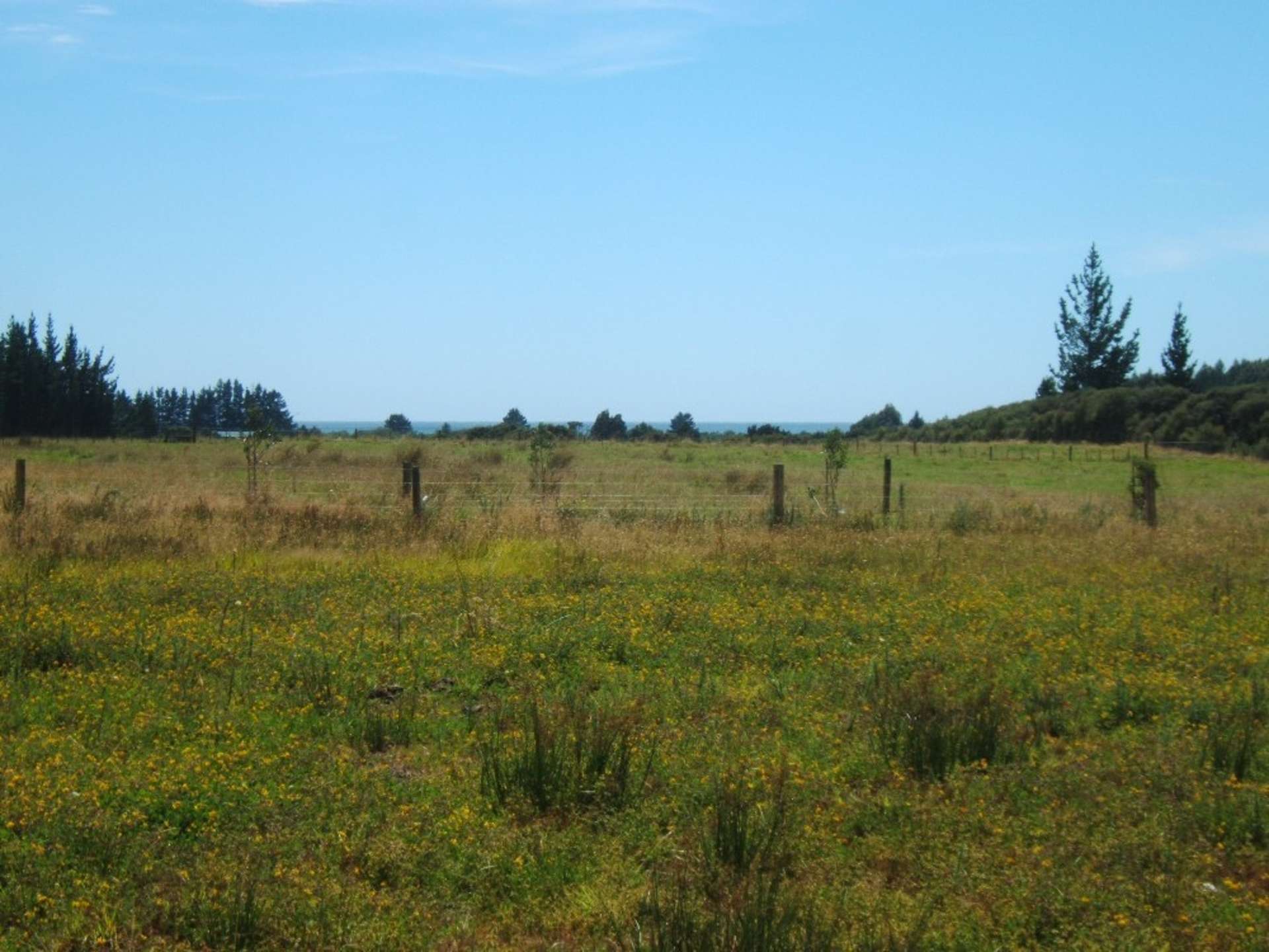 West Coast Road Sheffield_0