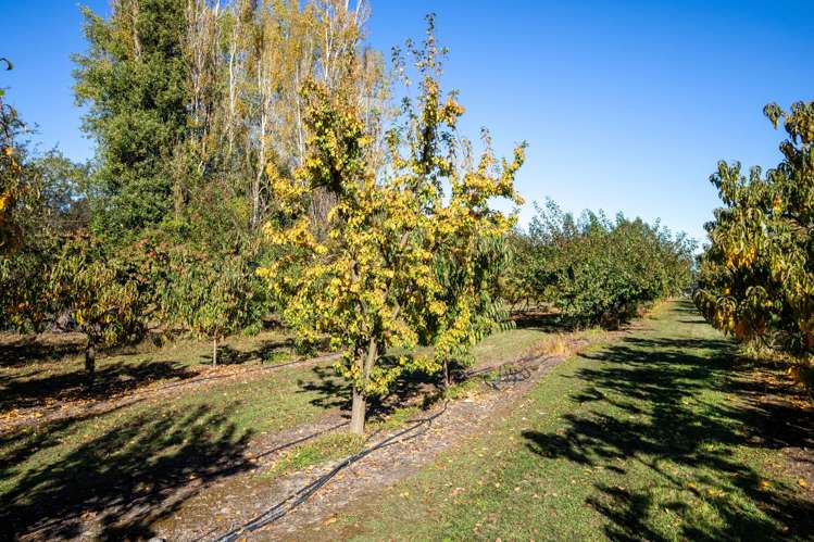 402 Dixons Road Loburn_24