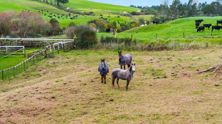 2 Craig Road Pollok_28