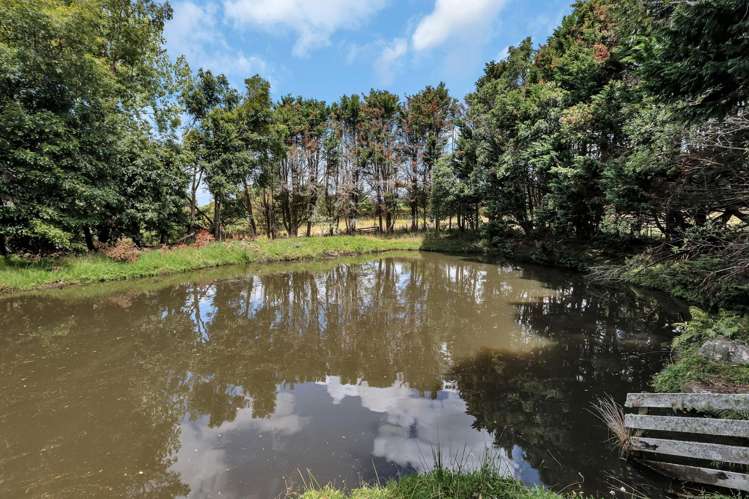 298 Cemetery Road Maunu_43