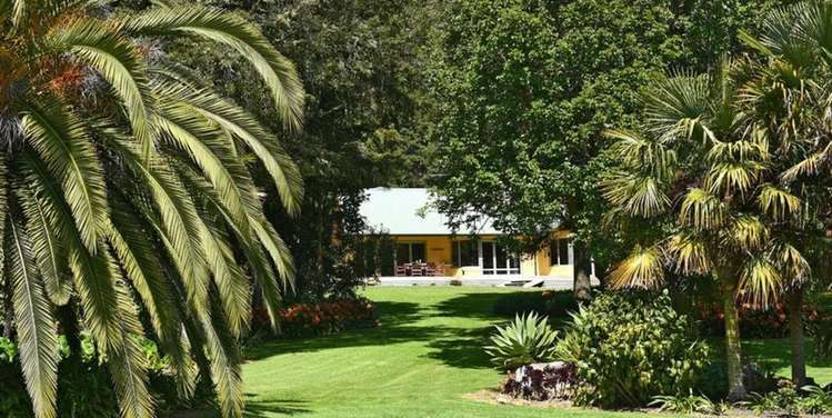 436 Crane Road Kauri_12