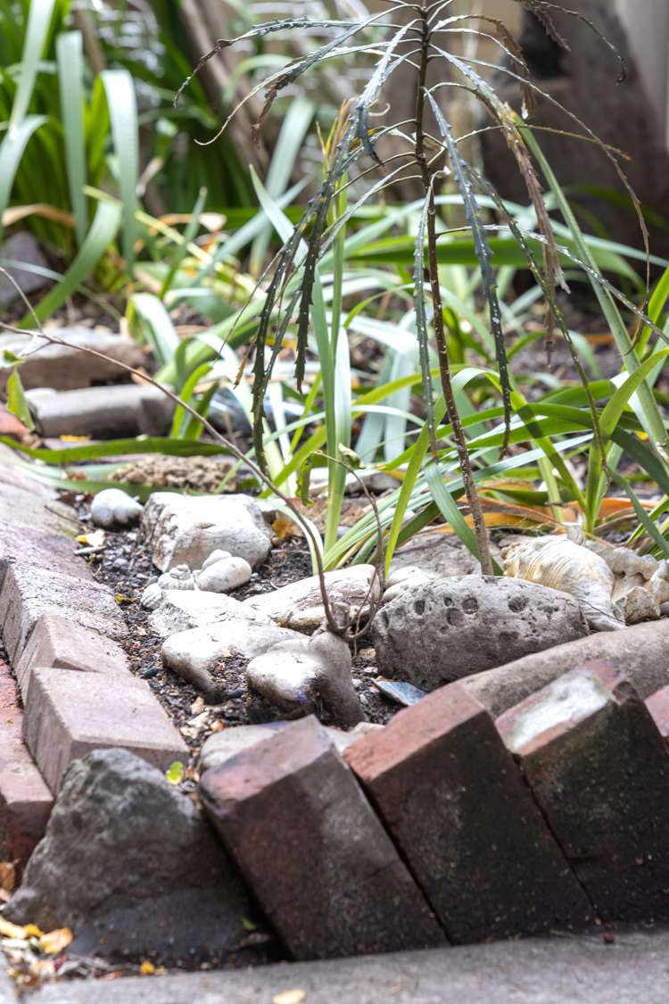 3/34 Holly Road Saint Albans_19