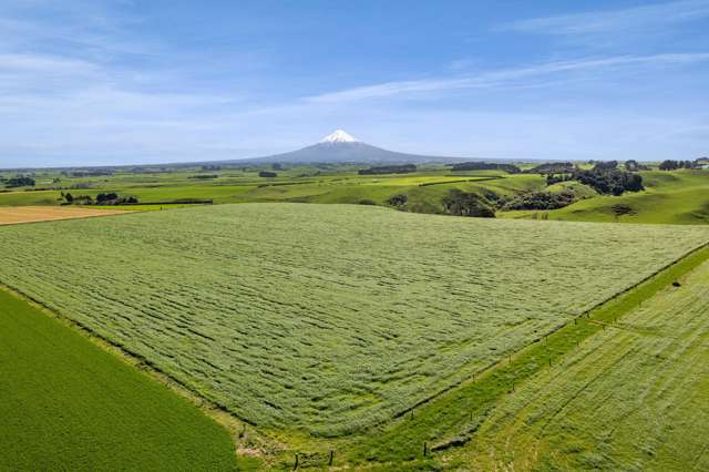 0n Mountain Road Normanby_1